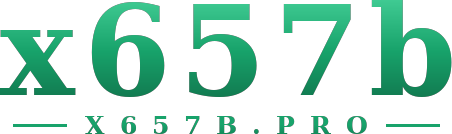 x657b logo